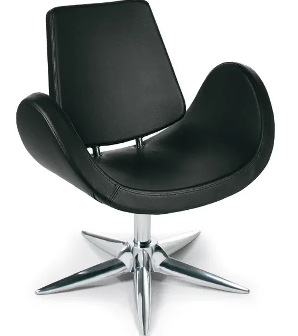 Кресло парикмахерское ALIPES CHAIR